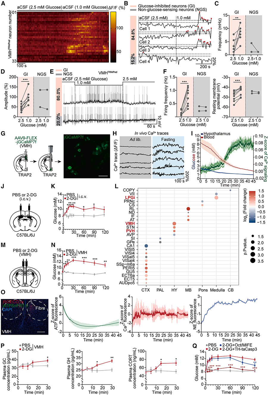 202510241975.jpg 5 拷贝.jpg