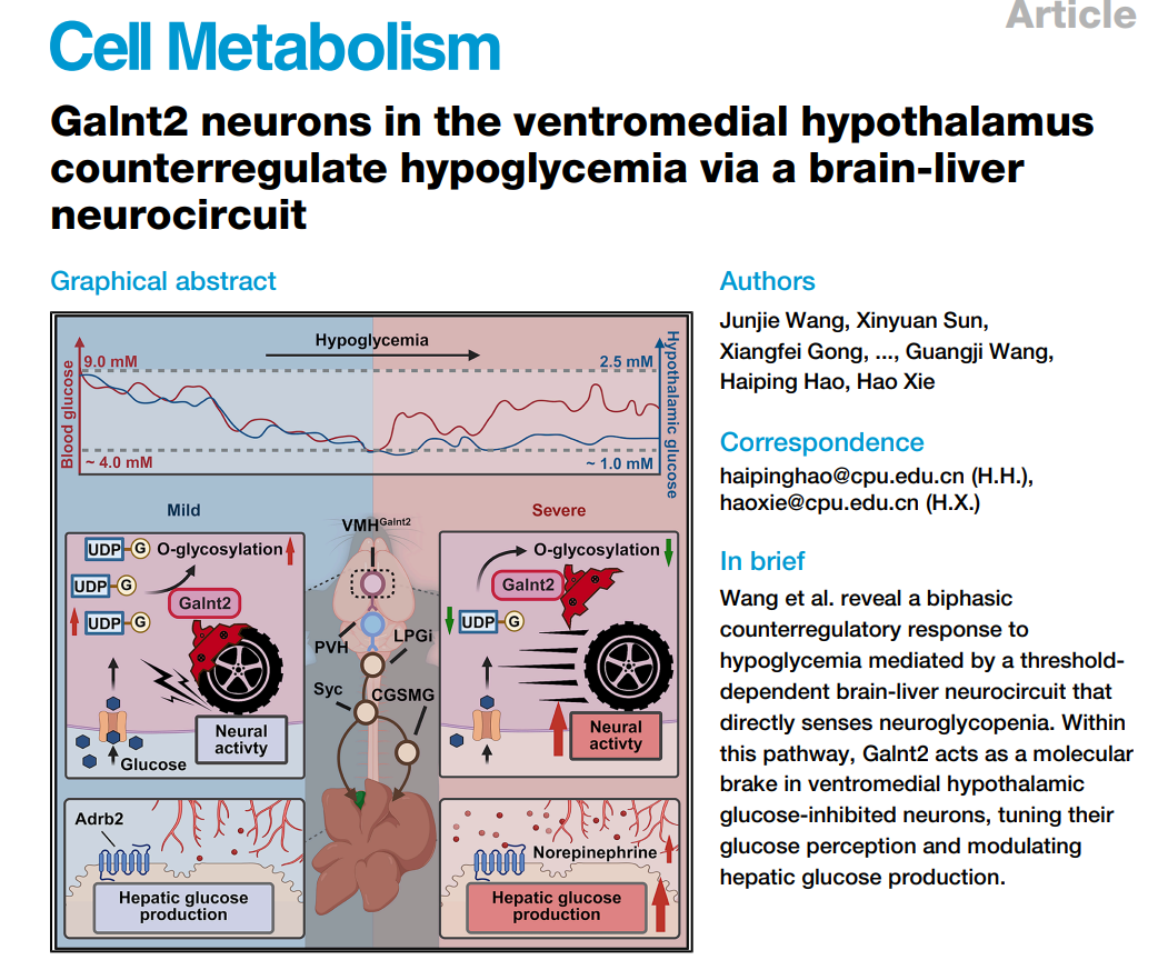 202510242125.png 图片1.png