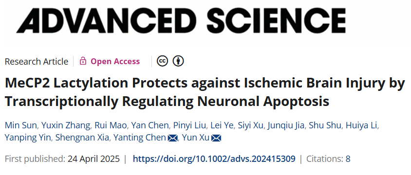 MeCP2乳酸化通过转录调控神经元凋亡减轻缺血性脑损伤
