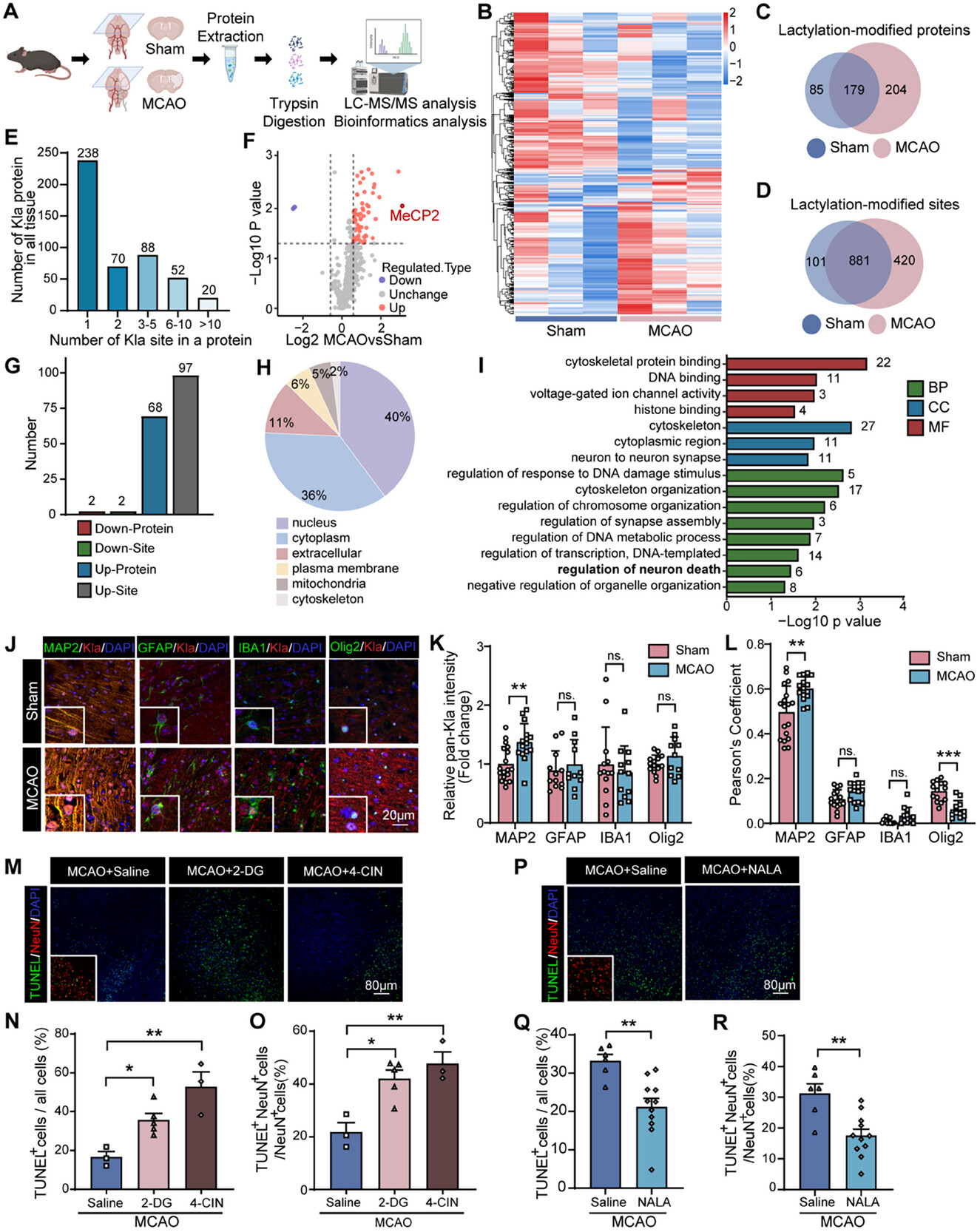 202603054990.jpg 2.jpg