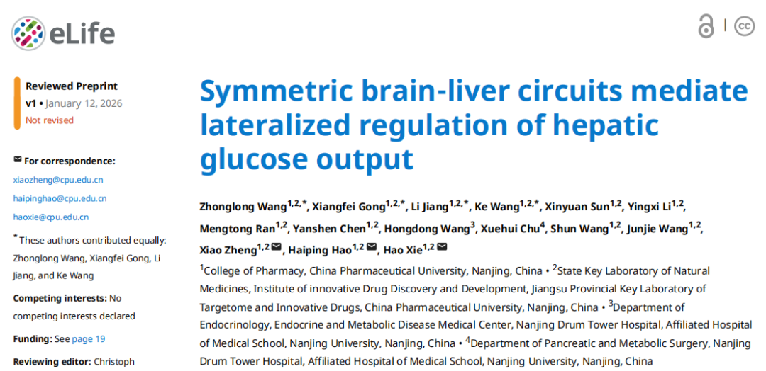 eLife︱脑-肝回路新发现！血糖调控“博弈”，揭示交感神经与肝脏之间的“对侧调控”秘密